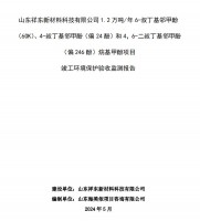 山東祥東新材料科技有限公司1.2萬噸/年6-叔丁基鄰甲(60K)、4-叔丁基鄰甲酚(偏 24 酚)和 4，6-二叔丁基鄰甲酚(偏 246 酚)烷基甲酚項(xiàng)目竣工環(huán)境保護(hù)驗(yàn)收監(jiān)測報(bào)告